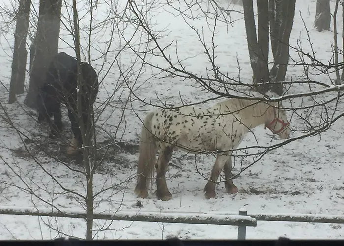 Penzion Na Slunicku